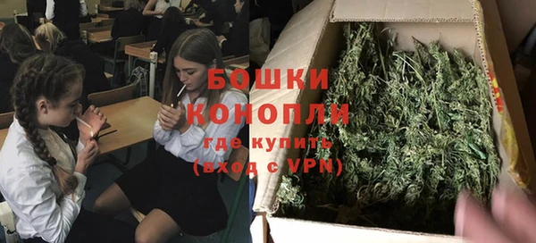 mix Богородицк