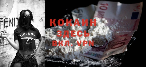 МДПВ Рославль